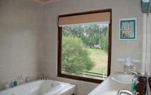 Hacienda Pichona - Cayambe, Ecuador