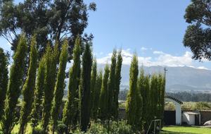 Hacienda Pichona - Cayambe, Ecuador