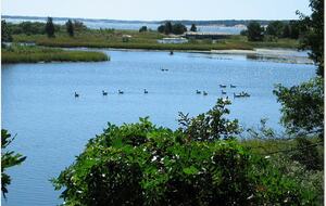 Long Island Wine Country - Cutchogue, New York