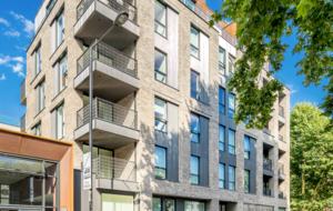 Quintess Collection - Camden Town - London, United Kingdom