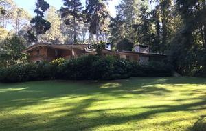 Forest Creek - Valle de Bravo, Mexico