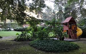 Forest Creek - Valle de Bravo, Mexico