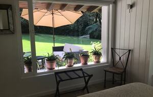 Forest Creek - Valle de Bravo, Mexico