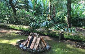 Forest Creek - Valle de Bravo, Mexico