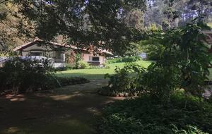 Forest Creek - Valle de Bravo, Mexico