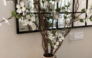 Yountville Charm - Yountville, California