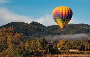 Yountville Charm - Yountville, California