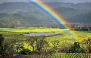 Yountville Charm - Yountville, California