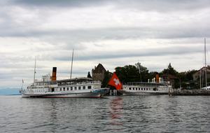 Lake Geneva frontlake House & Private Beach - Nernier, France