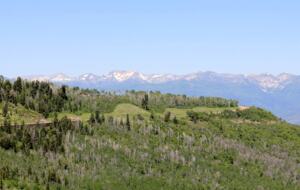 Timber Moose: America's Biggest Log Cabin - Heber City, Utah
