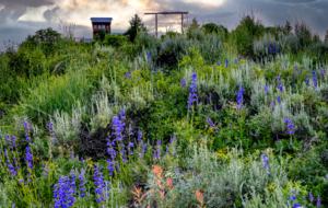 Timber Moose: America's Biggest Log Cabin - Heber City, Utah
