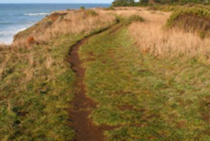 The Bluffs at Sea Ranch - Sea Ranch, California