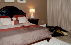 The Best of the Alabama Gulf Coast! - Orange Beach, Alabama