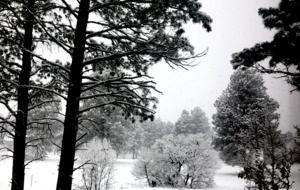 Pagosa Springs Private Retreat - Pagosa Springs, Colorado