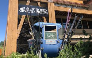 Snow Flower of Steamboat at the Base - Steamboat Springs, Colorado