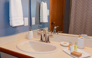 Snow Flower of Steamboat at the Base - Steamboat Springs, Colorado