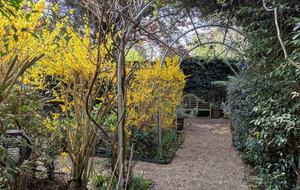 Huge 18th Century Georgian London Townhouse (R) - London, United Kingdom