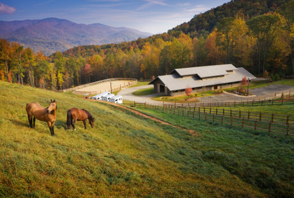 Balsam Mountain Cabin - Sylva, North Carolina