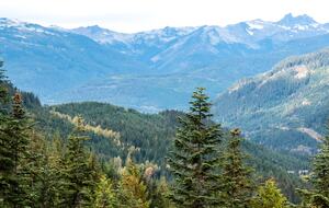 Trail's End - Ski-In/Ski-Out (R) - Whistler, Canada