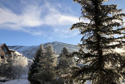 Snow Flower of Steamboat at the Base - Steamboat Springs, Colorado