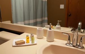 Snow Flower of Steamboat at the Base - Steamboat Springs, Colorado