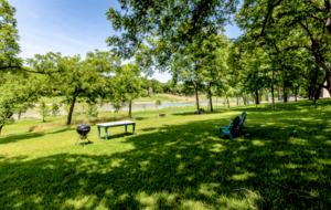 Firefly - Wimberley, Texas