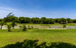 Firefly - Wimberley, Texas