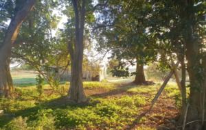 Hololio House - Historic Homestead at Clevedon Polo Club - Auckland, New Zealand