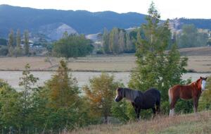 Hololio House - Historic Homestead at Clevedon Polo Club - Auckland, New Zealand