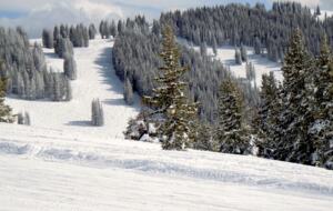 Arrowhead Ski-In/Ski-Out in Beaver Creek - Edwards, Colorado