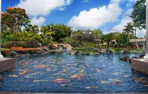 One Bedroom Studio Villa Marriott Kauai Beach Club - Lihue - Kauai, Hawaii