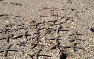 Debordieu Beach Creek Retreat - Georgetown, South Carolina