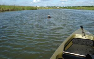 Debordieu Beach Creek Retreat - Georgetown, South Carolina