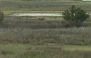 Debordieu Beach Creek Retreat - Georgetown, South Carolina