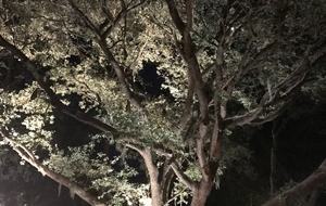 Debordieu Beach Creek Retreat - Georgetown, South Carolina