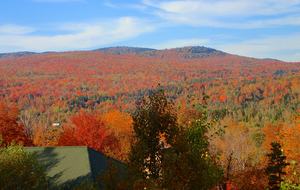 Slopeside Townhome at Crawford Ridge - Bretton Woods, New Hampshire