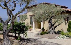Bacchus Napa Home - Greek God of Wine - Napa, California