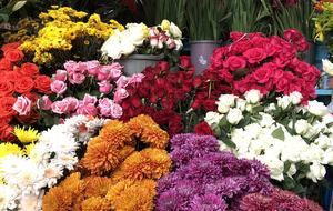 Villa Privada - San Miguel de Allende, Mexico