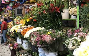 Villa Privada - San Miguel de Allende, Mexico