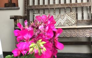 Villa Privada - San Miguel de Allende, Mexico