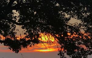 The Stonehouse at Canyon Lake - Canyon Lake, Texas
