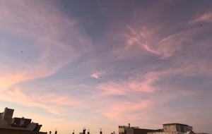 Medieval Medina Riad - Essaouira, Morocco