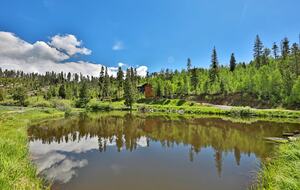 Moose Ponds Vacation Home - Close to Ski Granby and Winter Park! - Grand Lake, Colorado