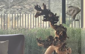 Designer House in La Paz, Bolivia - La Paz, Bolivia