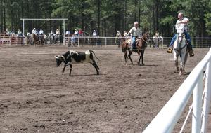 SKI OR GOLF IN THE MAGICAL FOREST - Flagstaff, Arizona