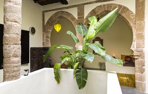 Medieval Medina Riad - Essaouira, Morocco