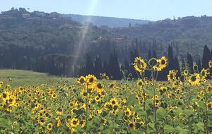 Palazzo Grande (R) - Corciano (Umbria), Italy