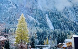 Chèvre Shack Chalet - Chamonix, France