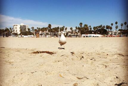 Iconic California Beach Getaway