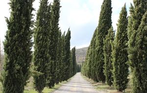 Palazzo Grande (R) - Corciano (Umbria), Italy